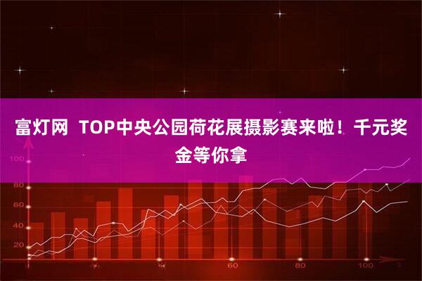 富灯网  TOP中央公园荷花展摄影赛来啦！千元奖金等你拿