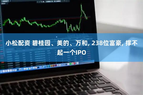 小松配资 碧桂园、美的、万和, 238位富豪, 撑不起一个IPO