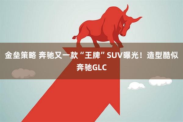 金垒策略 奔驰又一款“王牌”SUV曝光！造型酷似奔驰GLC